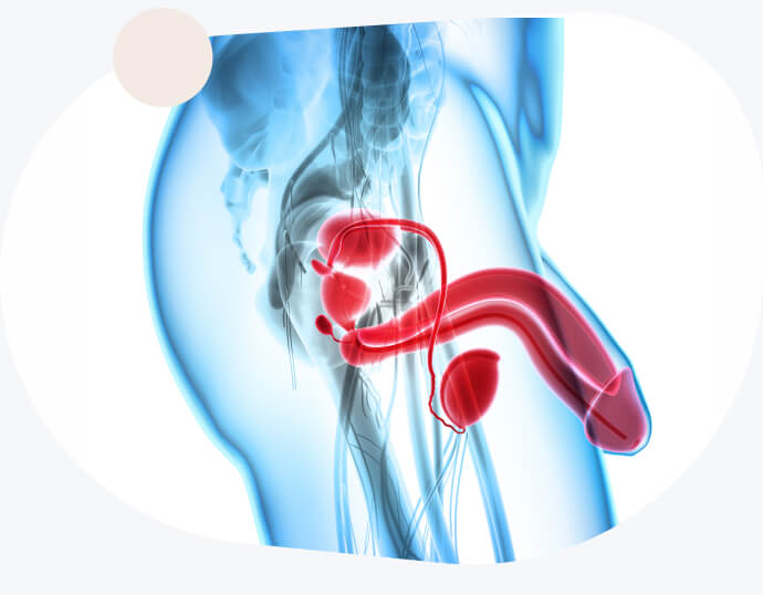 Illustration of improved blood flow with RagnarX